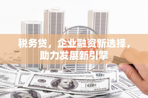 嘉峪关税务贷，企业融资新选择，助力发展新引擎