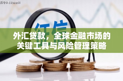 嘉峪关外汇贷款，全球金融市场的关键工具与风险管理策略