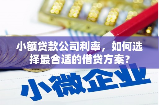嘉峪关小额贷款公司利率，如何选择最合适的借贷方案？