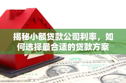 嘉峪关揭秘小额贷款公司利率，如何选择最合适的贷款方案