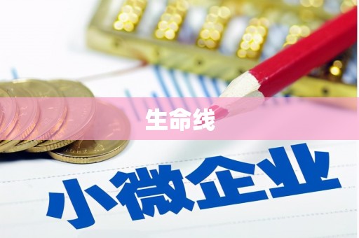 嘉峪关生命线