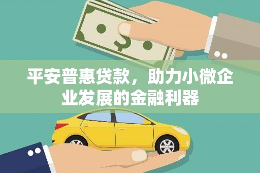 嘉峪关平安普惠贷款，助力小微企业发展的金融利器